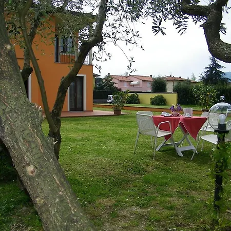 Triolivo * Lucca